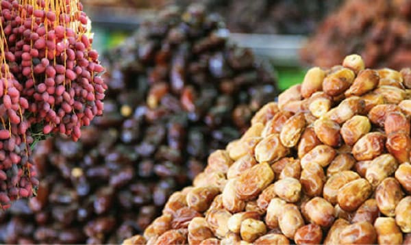 فروش خرما مضافتی عمده + قیمت خرید به صرفه